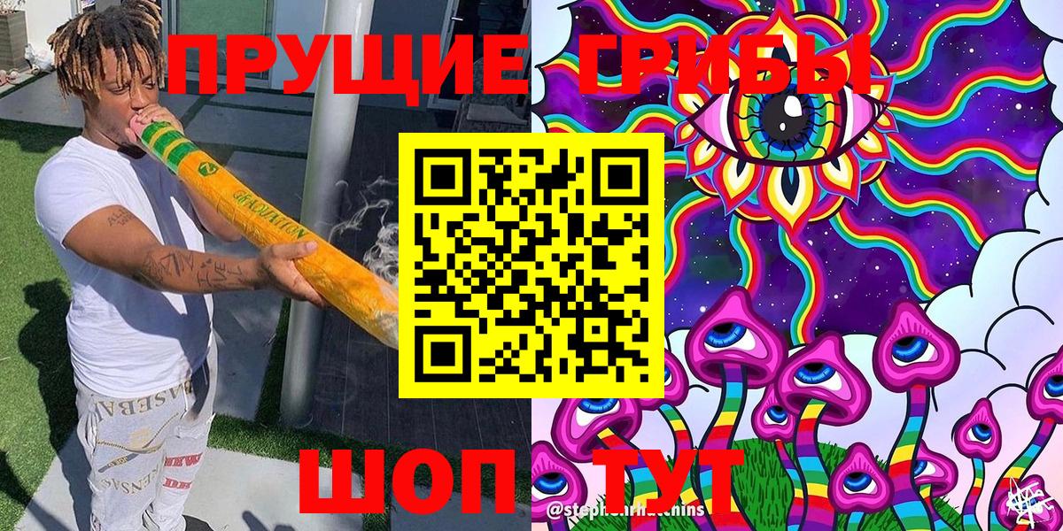 Галлюциногенные грибы Psilocybine cubensis Кострома