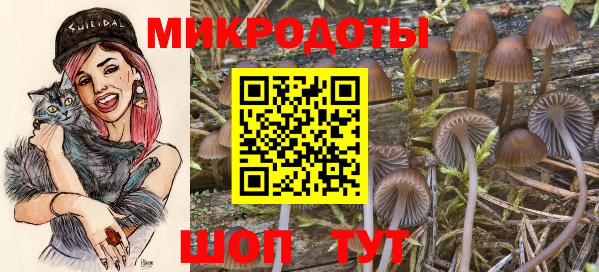 Галлюциногенные грибы Cubensis  Галлюциногенные грибы MAGIC MUSHROOMS  Вход с VPN  где можно купить наркотик  Кострома 